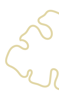 A yellow outline of a brain on a black background.